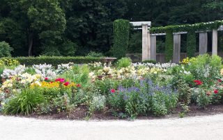 Flower Beds in Tiergarten Park